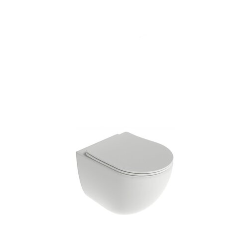 Ravak / Sanitary ceramics / Chrome AquaSpin toilet set - (361x501x431)